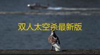 双人太空杀最新版